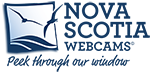 NSWebcamsResized